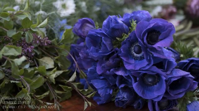 Panasonic Lumix Gh5 Sample Photos Part 2 | Lumix Gh5 Camera Test смотреть онлайн