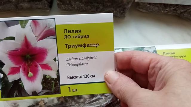 Лекарства природы