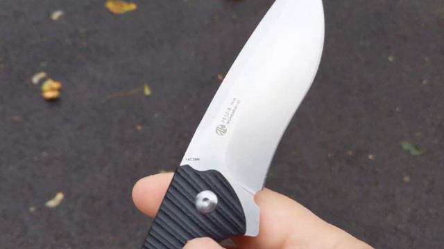 Нож складной Ruike Fang P852-B смотреть онлайн