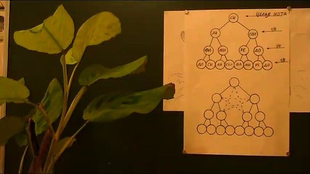 Бог сотворил мир за семь дней смотреть онлайн