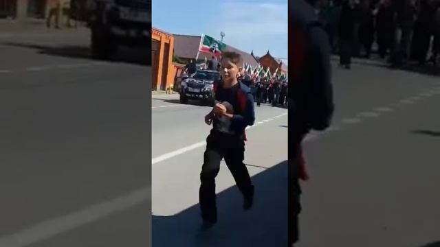 Стадо баран во главе с козлом смотреть онлайн