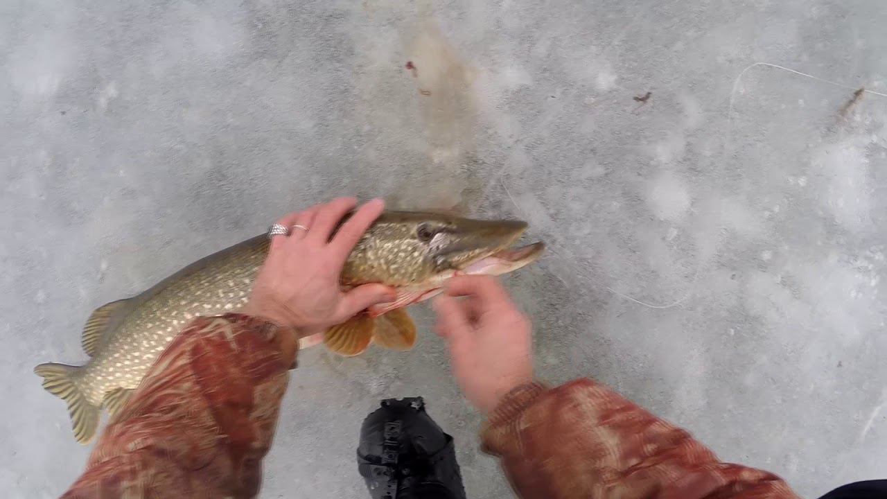 щука смотреть онлайн