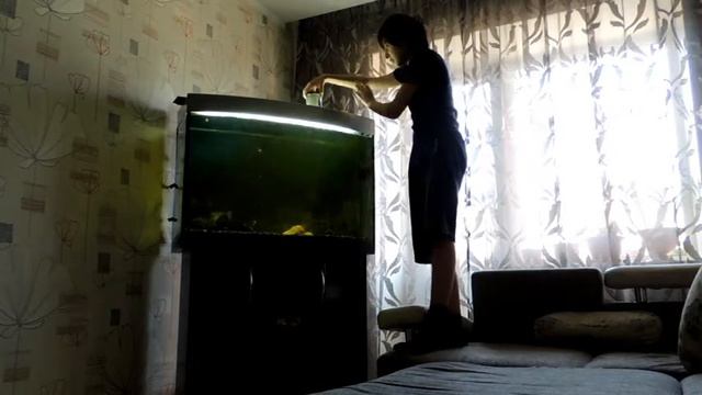 Как снимать видео под водой смотреть онлайн