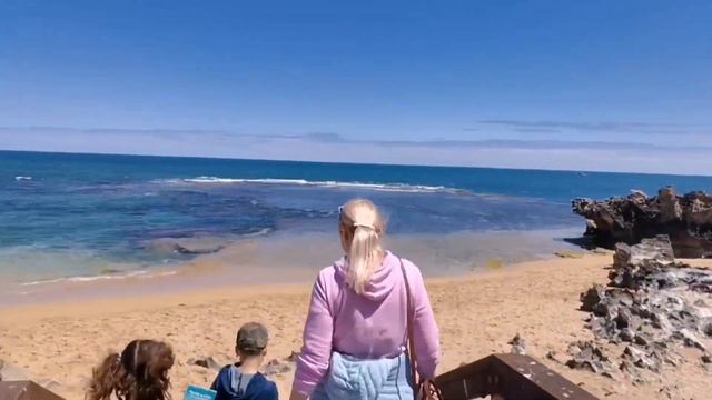 Австралия. Остров пингвинов. смотреть онлайн