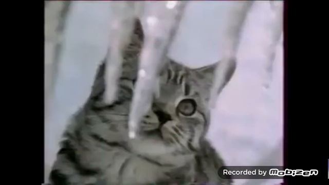 whiskas новый год 2006-2007 реклама смотреть онлайн