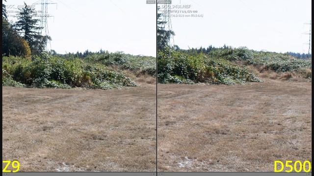 Nikon Z9 (DX) VS Nikon D500 - DSLR vs Mirrorless - Image Quality Test смотреть онлайн