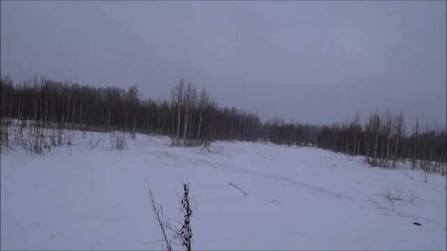 ОСЕЧКА.. Охота на зайца с гончими.#12 сезон 2019-2020 смотреть онлайн
