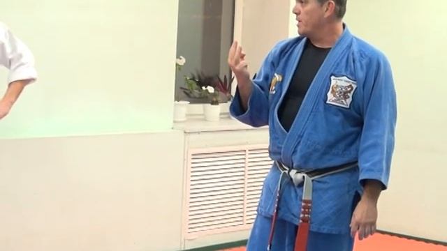 Техника Кэнпо-Карате: семинар Грандмастера Мохамеда ТАБАТАБАЯ - 7. смотреть онлайн