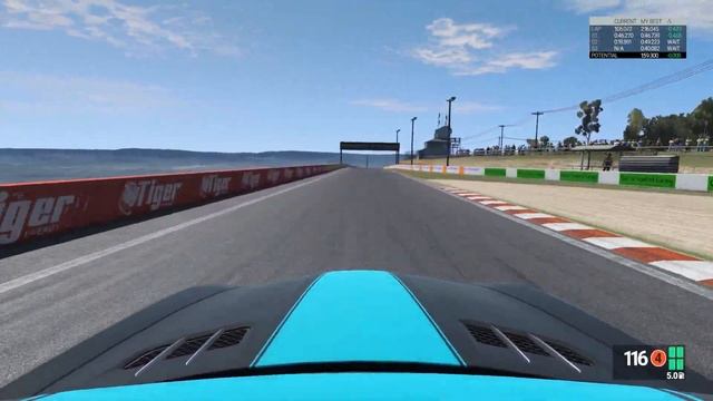 Project CARS TT - Bathurst - Mercedes SLS AMG - Current WR смотреть онлайн