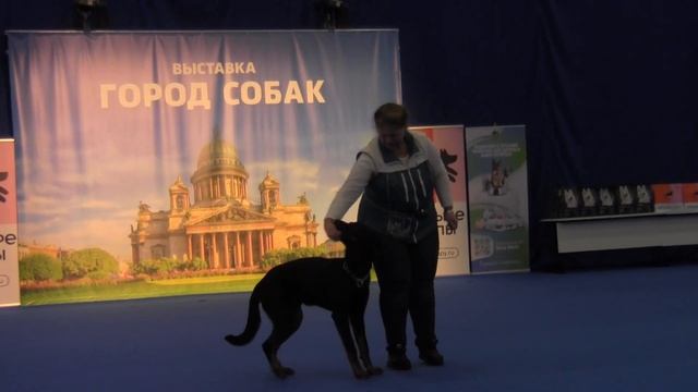 Лобастова Инна и Босерон Астра Канина Уту, ВНЕ ЗАЧЕТА смотреть онлайн