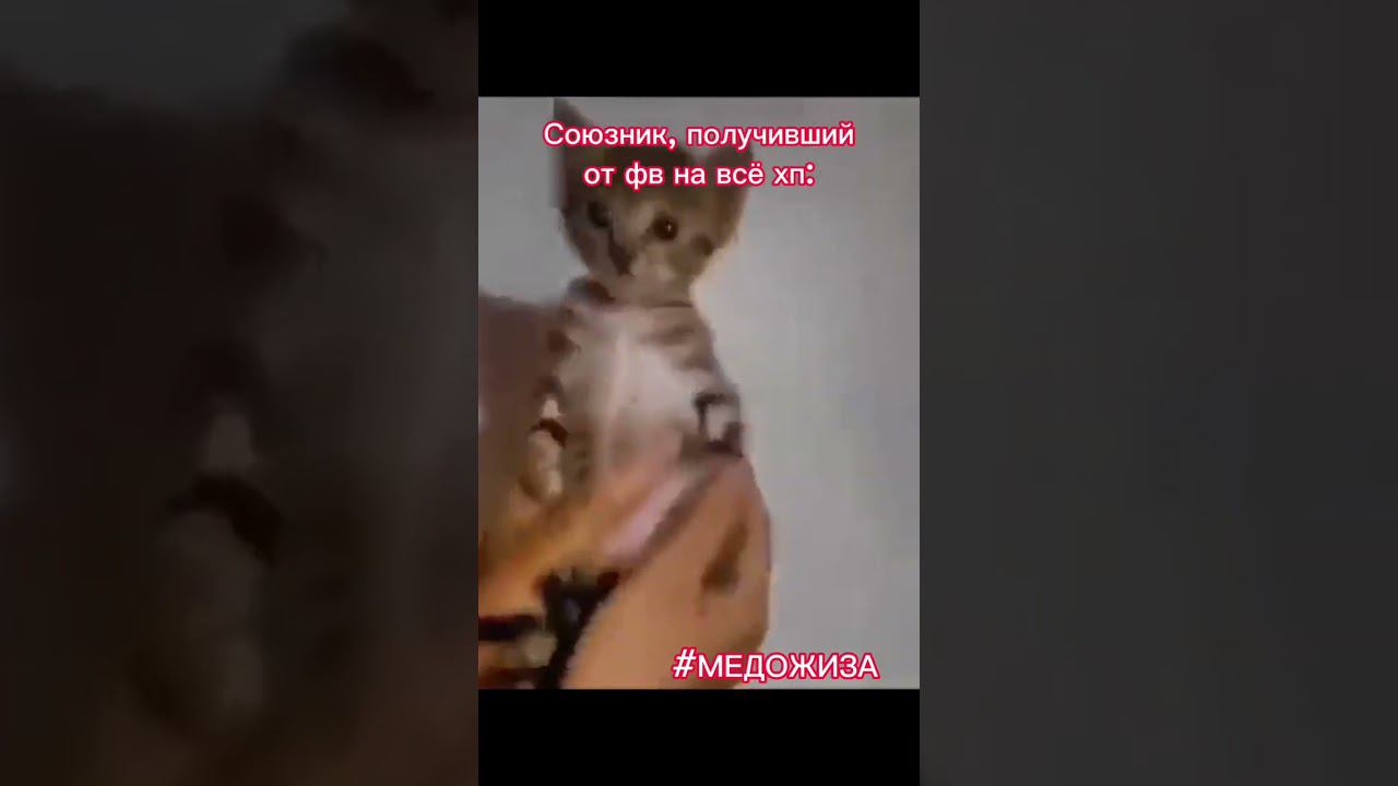 #медожиза ПРИКРЫТАЯ смотреть онлайн