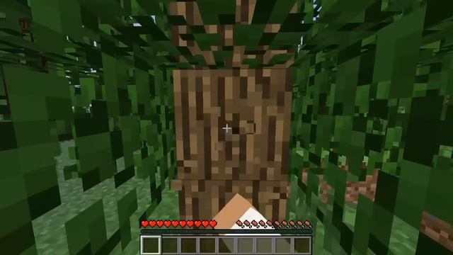 Nvidia Geforce 9600 GT Minecraft Test смотреть онлайн