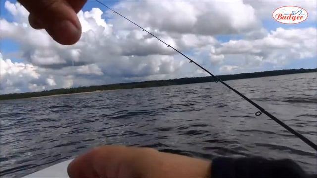 Силиконовая приманка на щуку Mystic Long Tail Grub смотреть онлайн