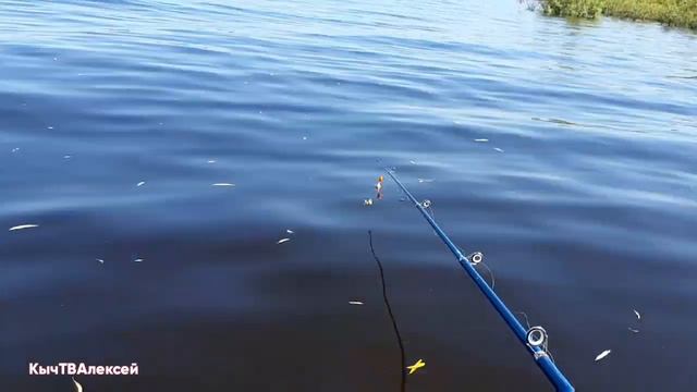 Якутск. Рыбалочка от Души!🎣24 июля 2022г. смотреть онлайн