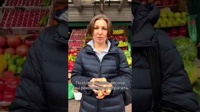Едите картошку весной? смотреть онлайн