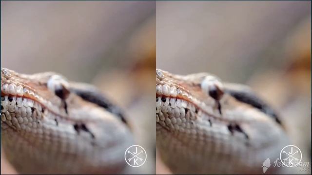 72% NTSC VS 45% NTSC | Laptop Screen Color Accuracy Comparison | Acer Nitro 5 Vs Asus ROG Strix G15