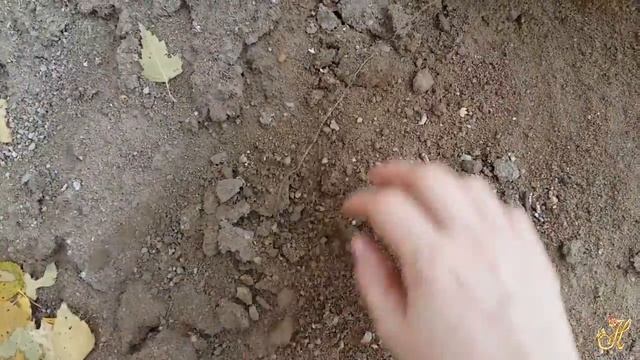 Не забудем подготовиться к следующему посевному сезону смотреть онлайн