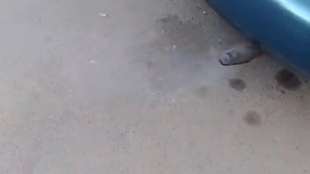 Почему при прогазовке дымит Toyota Corolla odesoftami.com смотреть онлайн