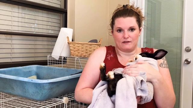 Cleaning Your Bunny ~ Bunny Bath смотреть онлайн