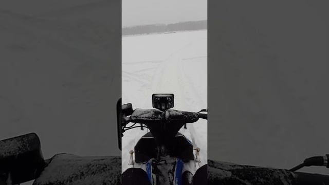 #лес #мотобуксировщик #мухтар15 #мотособака #мотодруг #мотопес #мотопёс #мотобукс (2) смотреть онлайн