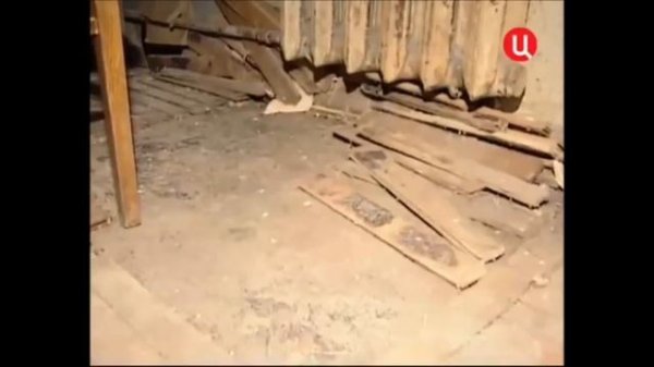 А Вам никого не напоминает?