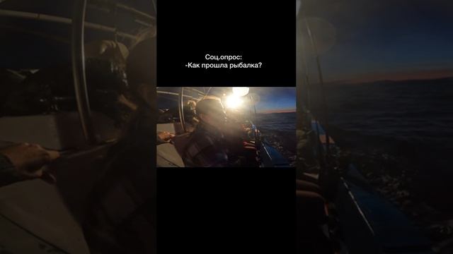 Команда Mr. Musurok на кальмаре и скумбрии в ночь с 29 на 30 августа (г. Владивосток)