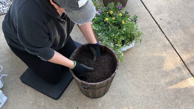 Front Porch Containers with Proven Winners Annuals 🌼 / Dirt and Dish смотреть онлайн
