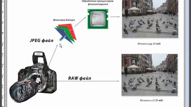 Уроки фотографии Формат RAW и его отличие от JPEG смотреть онлайн