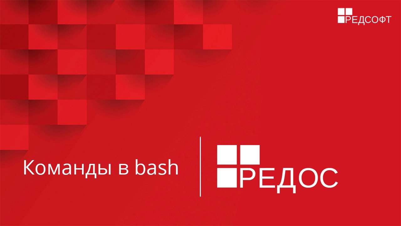Команды в bash смотреть онлайн