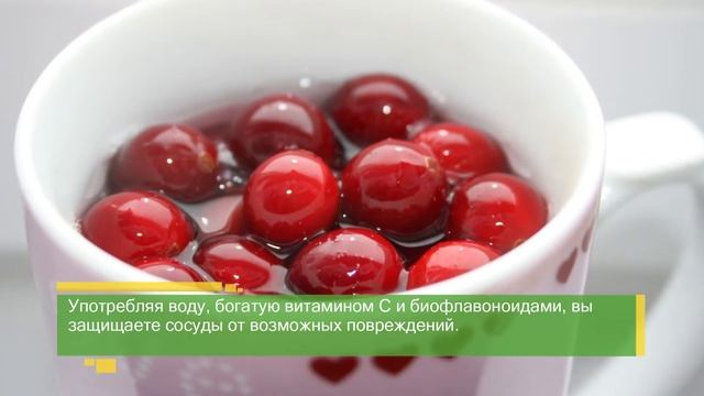 ПРОСТО О ПИТАНИИ: еда для сосудов смотреть онлайн