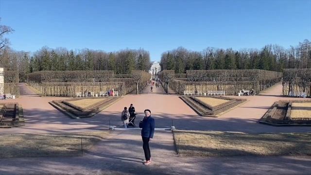 ФИАЛКИ, САНСЕВИЕРИЯ И ВЕСНА! смотреть онлайн