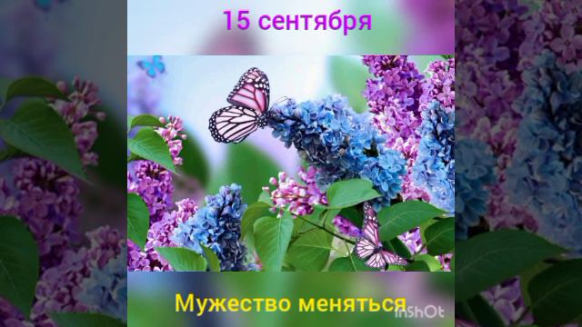 15 сентября. Мужество меняться смотреть онлайн