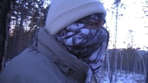 Охота на кабана с засидки 2017 год