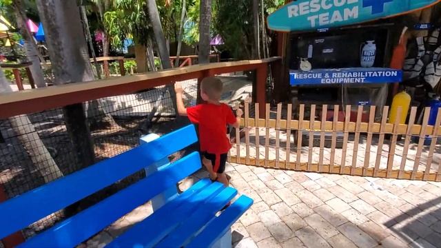 David is back at Miami Seaquarium!!! Давид снова в Аквариуме Маями!!! смотреть онлайн