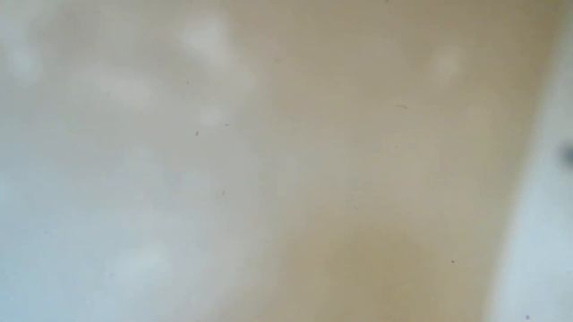 Экономим на шпатлевке! смотреть онлайн