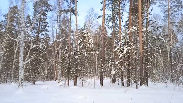 питомник( Алтай) смотреть онлайн