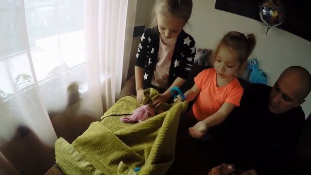 ПУШИСТИК-ПОТЕРЯШКА. КТО ПОПАЛСЯ? Scruff a Luvs мягкая игрушка СЮРПРИЗ смотреть онлайн