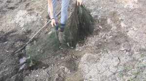 Как ловить раков? Ловля раков на китайские ракаловки. Часть 3