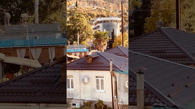 Погода в Абхазии зимой скоро новый год 2021 море солнце и мандарины Гагра частный дом у моря пляж. смотреть онлайн