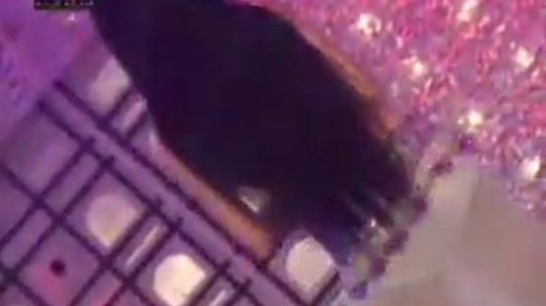 Видео  танец живота   автор  3mu   Smotri Com