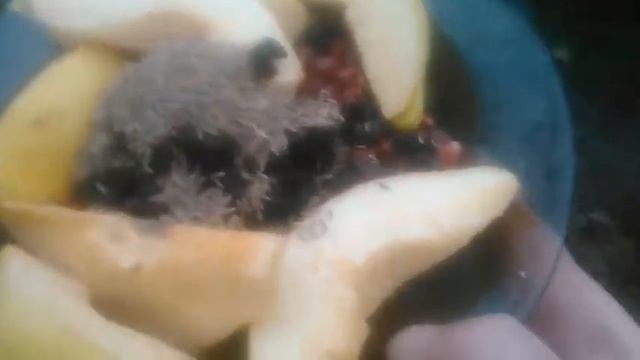 Лайфхаки для Красоты и Ухода