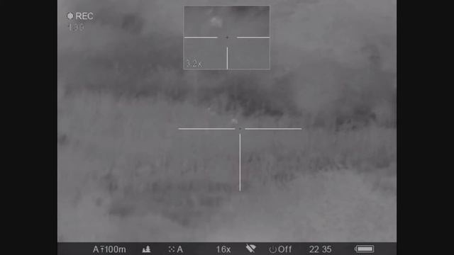 Охота на косулю смотреть онлайн