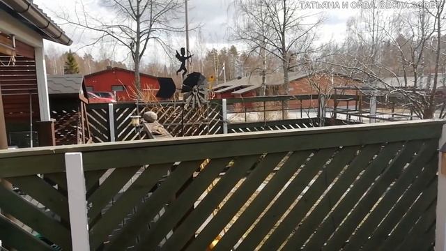 Татьяна.Весна в окно стучится... Кто придёт на помощь Финляндии? смотреть онлайн