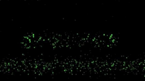 Unknown Chorded Samsung Logo Effects