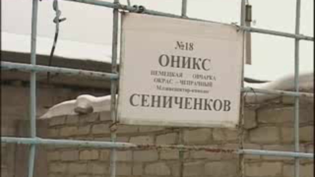 кинологи