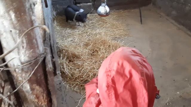 Что принес Андрей Новиков?