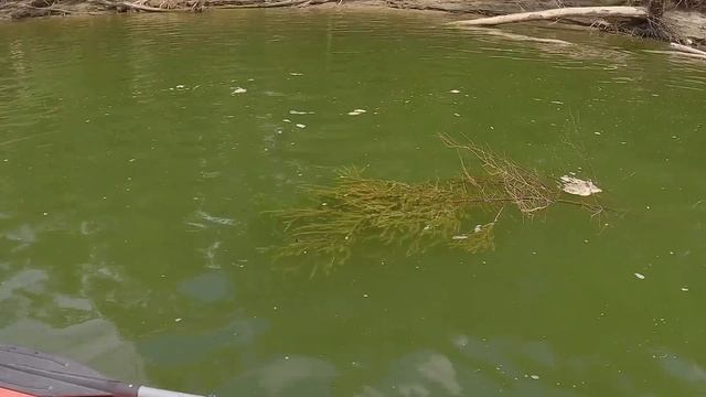 Спиннинг в Августе! ХИТРЫЙ МОНТАЖ и СМЕНА ПОГОДЫ! Рыбалка на щуку летом смотреть онлайн