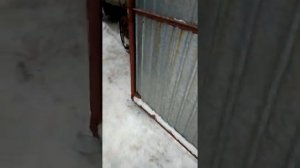 ГАЗЕЛЬ Усиление кузова. Кузов Газель Некст. часть 1.