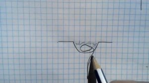 Съедобный каштан из семян