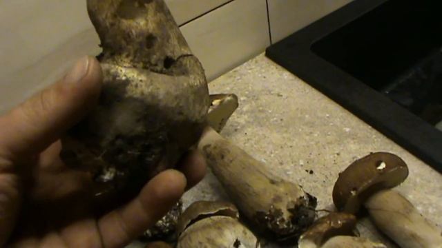 Заготовка белого гриба на зиму / Procurement Of White Mushroom For The Winter